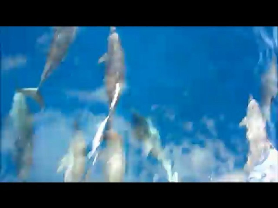 Passe Uitoe, 12 août 2012