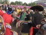 Football - La joie des supporters mexicains