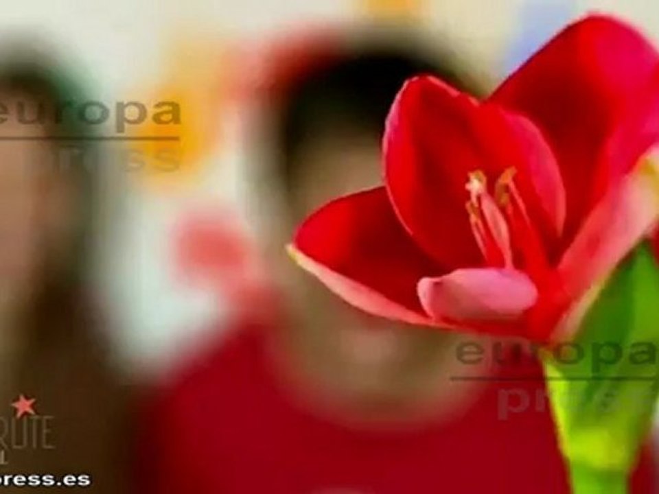 Julio Iglesias y Estopa cierran el Starlite Festival