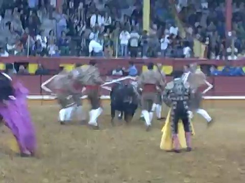 RUI PEDRO DOS AMADORES DA CHAMUSCA PEGA TOIRO DE RUY GONÇALVES NA PRAÇA DE TOIROS DA NAZARÉ