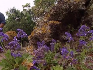 لاس بالماس - أكبر مدن جزر الكناري | يوروماكس