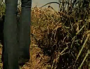 2006.The.Texas.Chainsaw.Massacre.The.Beginning.UNRATED.DVDRip.XviD.AC3.CD1-JUPiT(02)