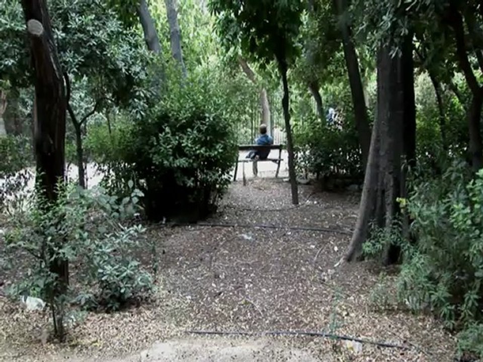 Η Γέννηση μιας ιδέας Δημήτρης Ψωμοδότης Απόσπασμα