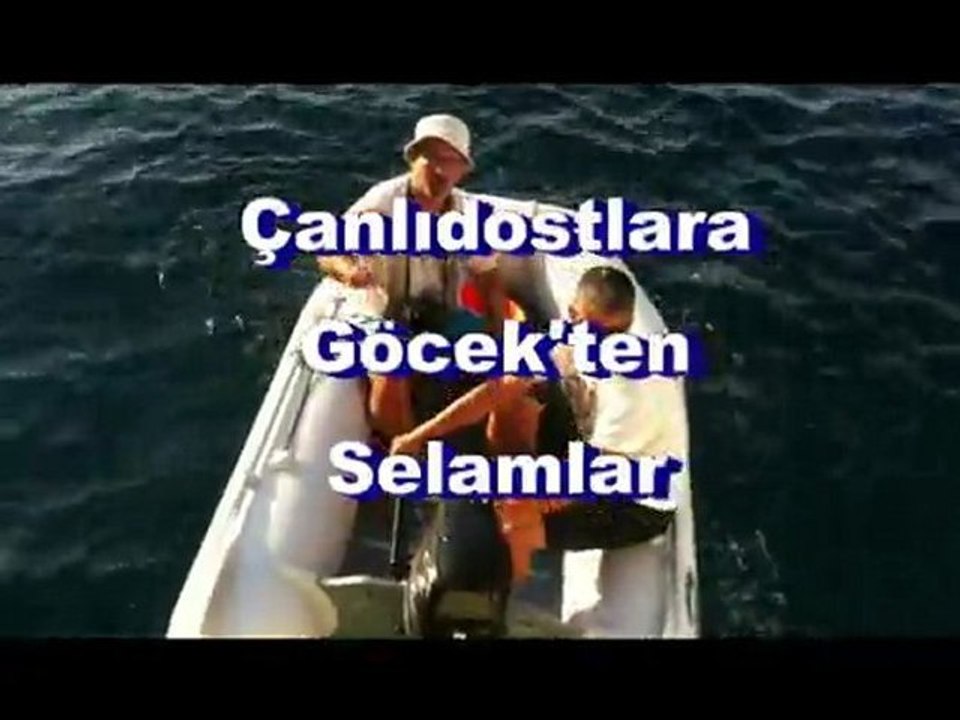 Çanlıdostlar Gocek'te balık avında