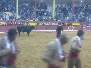 DIOGO CRUZ DOS AMADORES DA CHAMUSCA PEGA Á SEGUNDA TENTATIVA UM TOIRO DO ENG RUY GONÇALVES NA PRAÇA DE TOIROS DA NAZARÉ