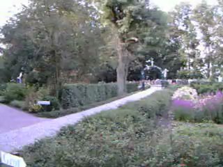 sejour ahh pays bas .ete 2012 070