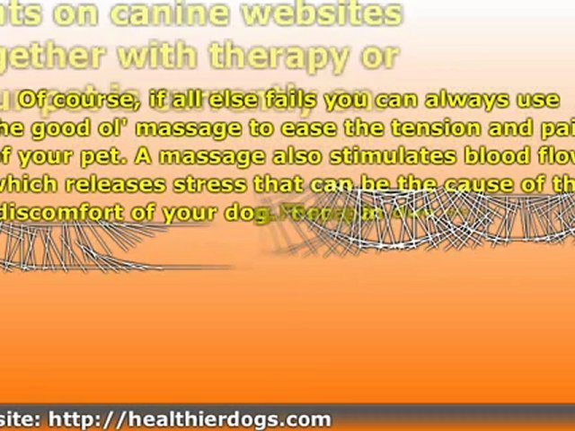 What Can I Give My Dog For Pain?