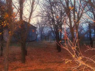 ZÜLKÜF ALTAN'DAN-ELEZBER HOYRAT-YARA BENDEN.