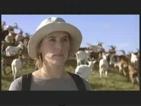 une hirondelle a fait le printemps