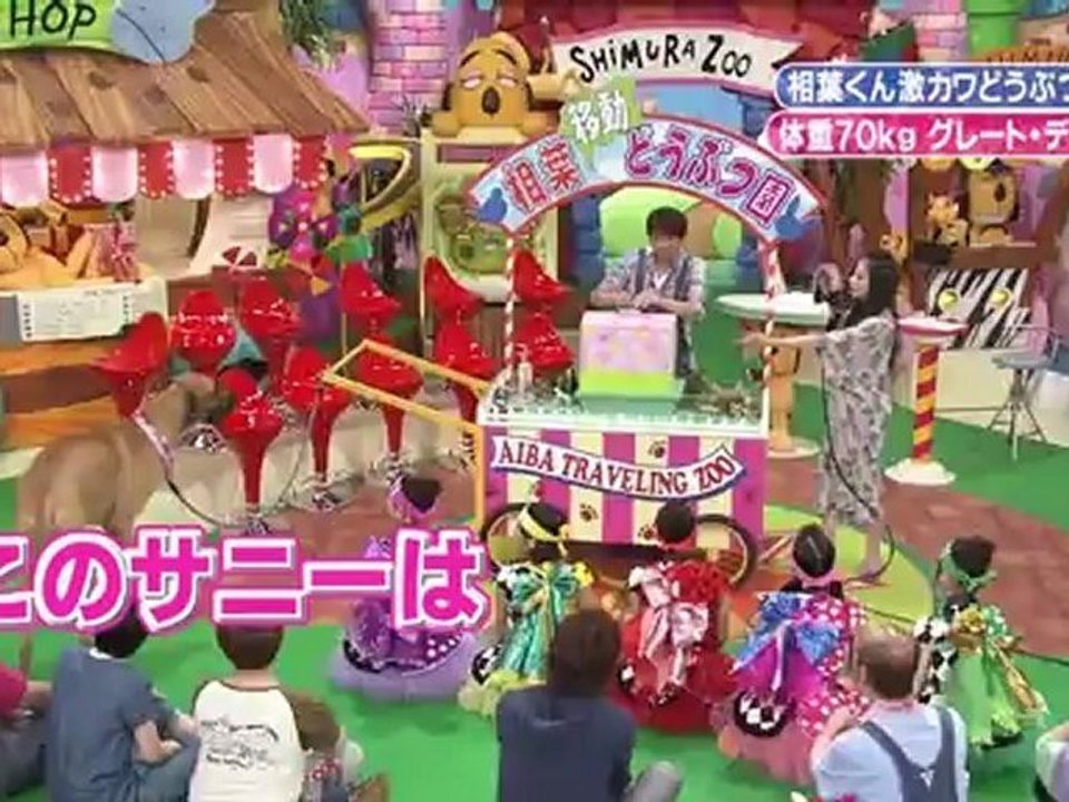 天才！志村どうぶつ園