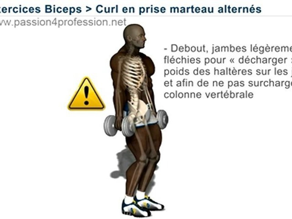 Curl marteau, alternés