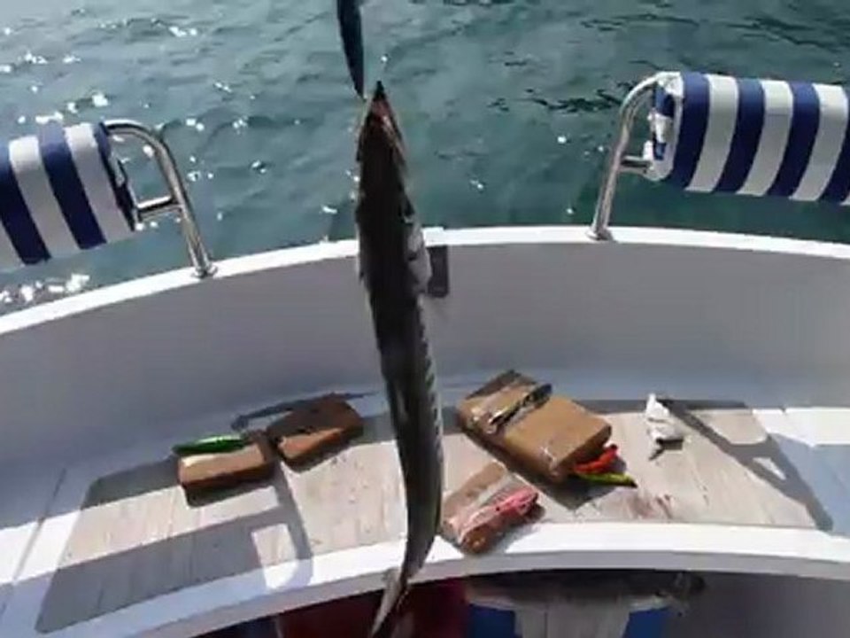 ıskarmoz (turna ) sırtı -1 kuşadası