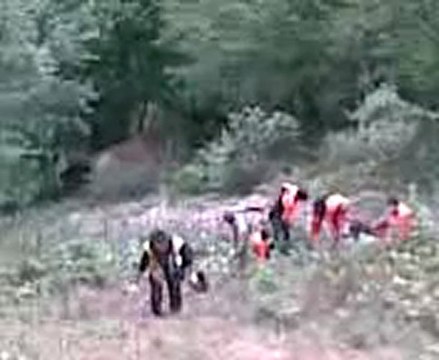 Kürtün Yeşilköy trafik kazası