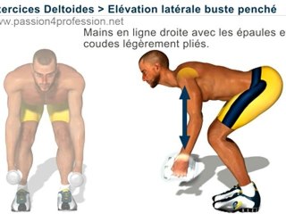 Elévation latérale buste penché