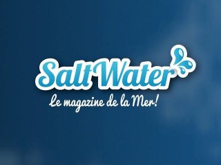 SaltWater le Magazine de la Mer - Spécial Tonnerres de Brest 2012