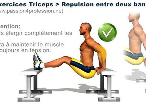 Exercices Musculation Triceps: Repulsion 2 bancs