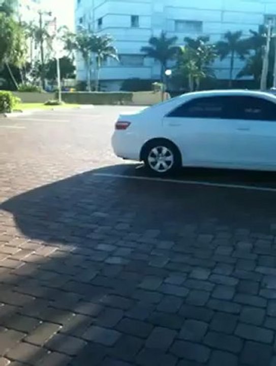 Patio pavers, Driveway pavers