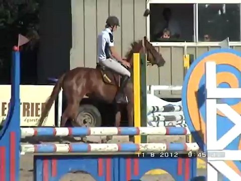 Cheval à vendre UVEA jument de 4 ans