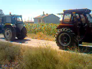 Ford 5000 vs Tümosan 8075