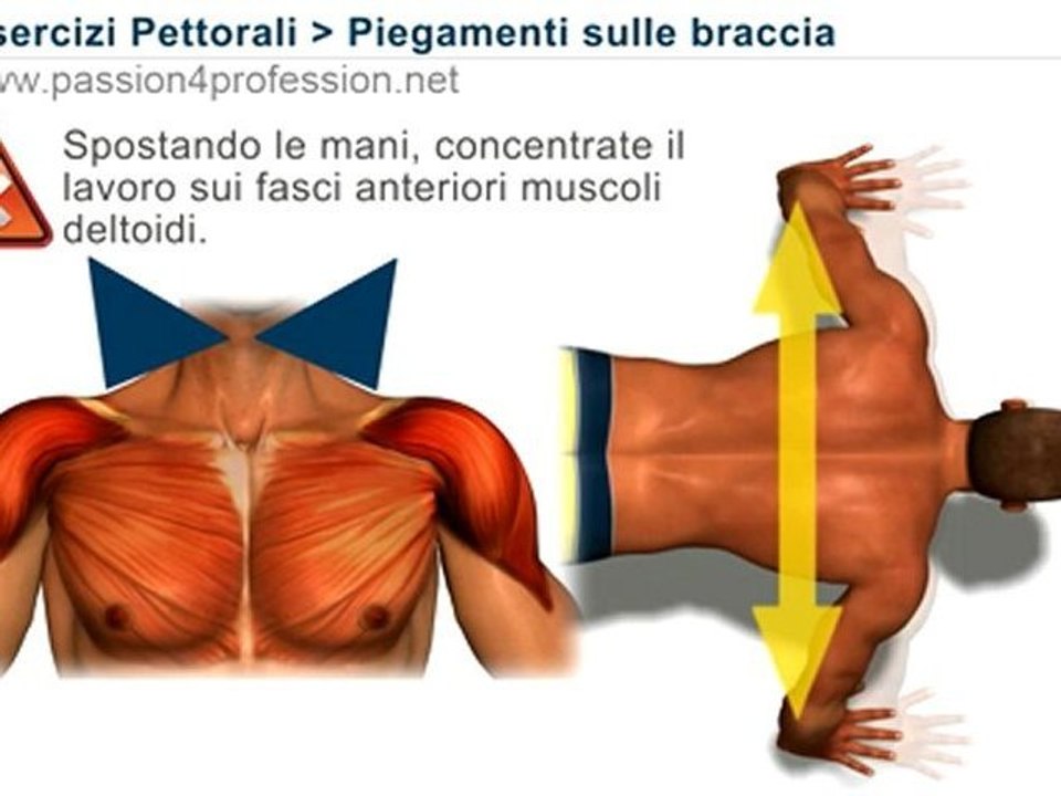 Piegamenti sulle braccia