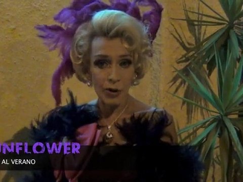 ADIOS A LAS VACACIONES