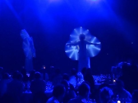 Les OIseaux Boules du Gang des Girafes ..