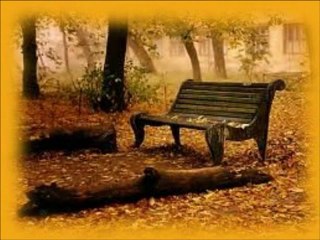 Outono - Estação mais linda (Autumn-The Most Beautiful Season)