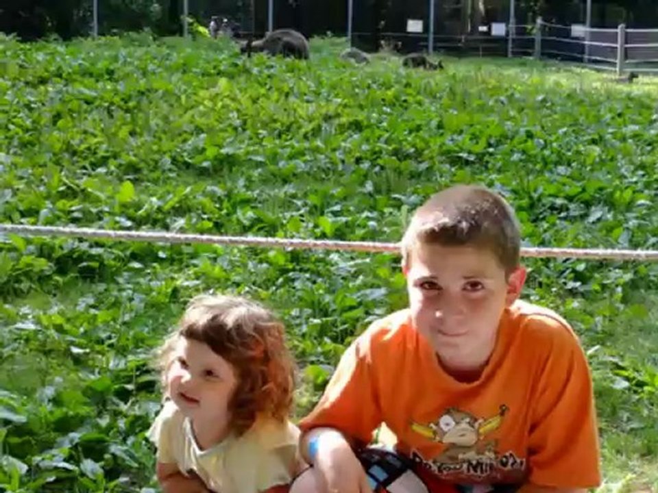 zoo granby