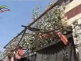 فري برس  ريف دمشق -جسرين  تدمير منازل المواطنين   13_8_2012  ج1