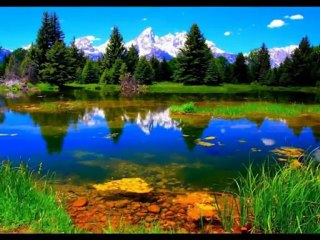 MÃE TERRA - PRESERVEMO-LA