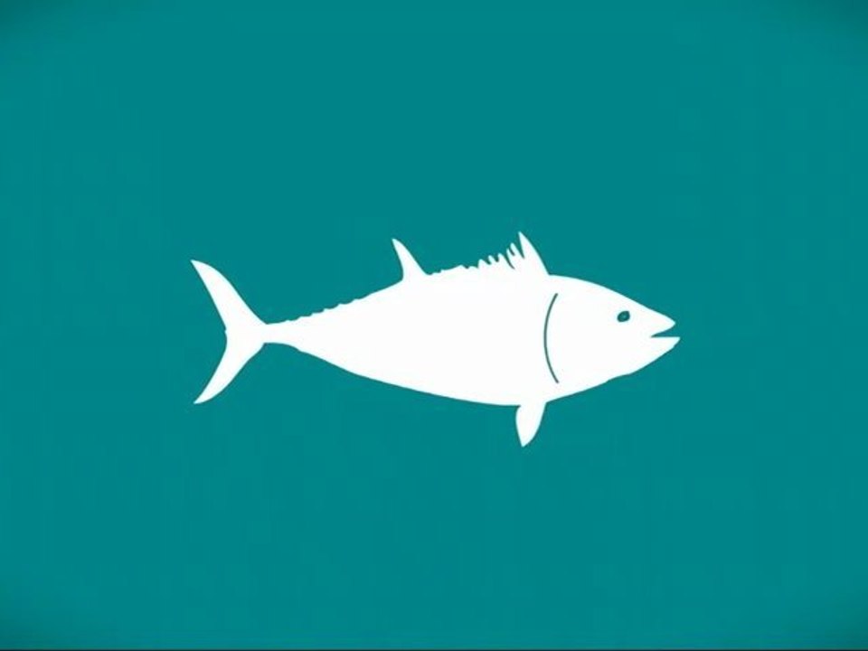 Help Save the Bluefin Tuna