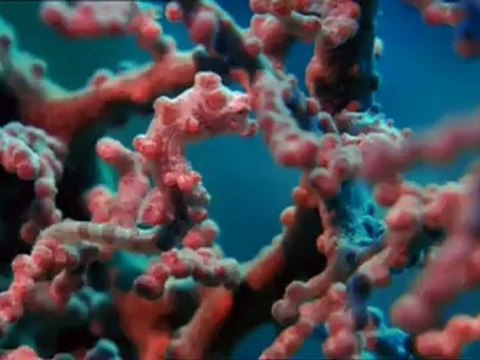 David Gilmour - There's No Way Out of Here kiba vasconcelos