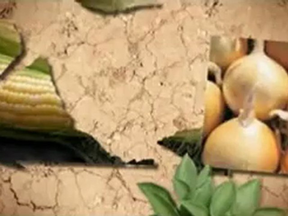 Agrigrow
