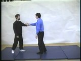 Tai Chi Self Defense part 2