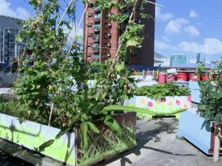 Rooftop farms flourish in space-starved Hong Kong