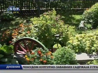 Dnevnik, 13. avgust 2012