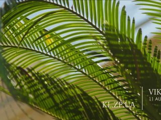 2012.08.11 Юлия и Виктор