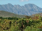 Robertson Winery Robertson Wine Valley South Africa - Africa Travel Channel