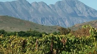Robertson Winery Robertson Wine Valley South Africa - Africa Travel Channel