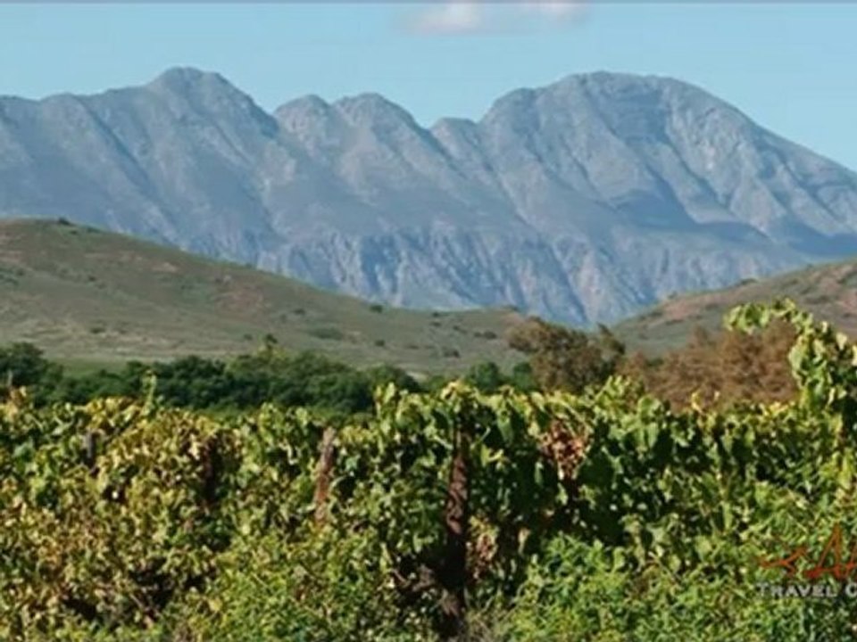 Robertson Winery Robertson Wine Valley South Africa - Africa Travel Channel
