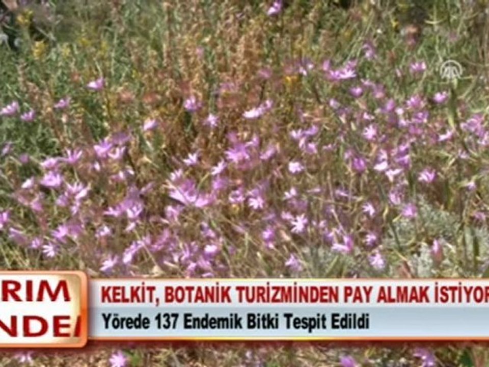 KELKİT, BOTANİK TURİZMİNDEN PAY ALMAK İSTİYOR