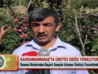 KAHRAMANMARAŞ’TA ÜRETİCİ ERİĞE YÖNELİYOR