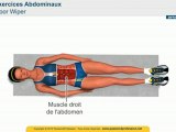 Abdominaux exercices - exercice les ABDO musculation - Floor Wiper