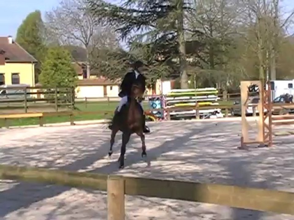 Tamarillo CL1 le 07-04-12