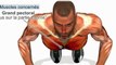 Comment muscler pectoraux, POMPES mains largeur thorax, exercices - mains largeur thorax.