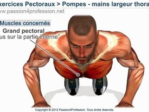 Comment muscler pectoraux, POMPES mains largeur thorax, exercices - mains largeur thorax.