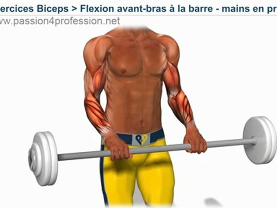 Curl inversé / Flexion avant-bras mains en pronation