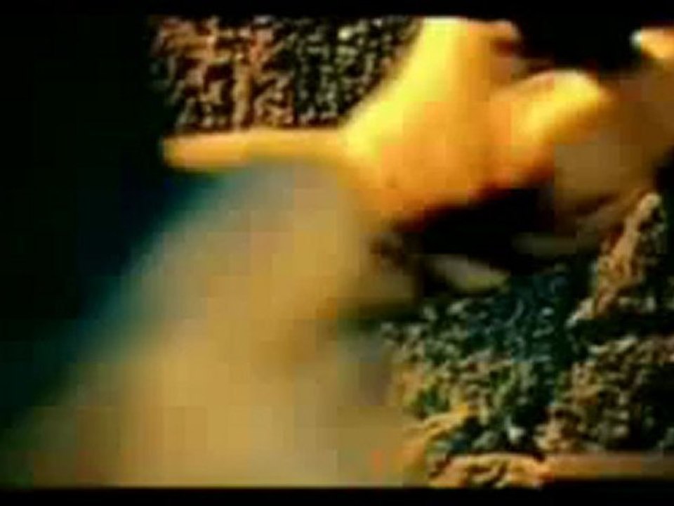 Ahmet  ŞAFAK        "  Beyler Bu Vatan Size Neyledi "