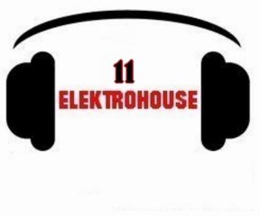 Electro House Vol.11