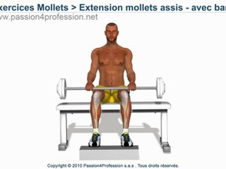 Exercices Musculation mollets assis avec barre